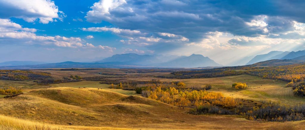 Grasslands Unlimited